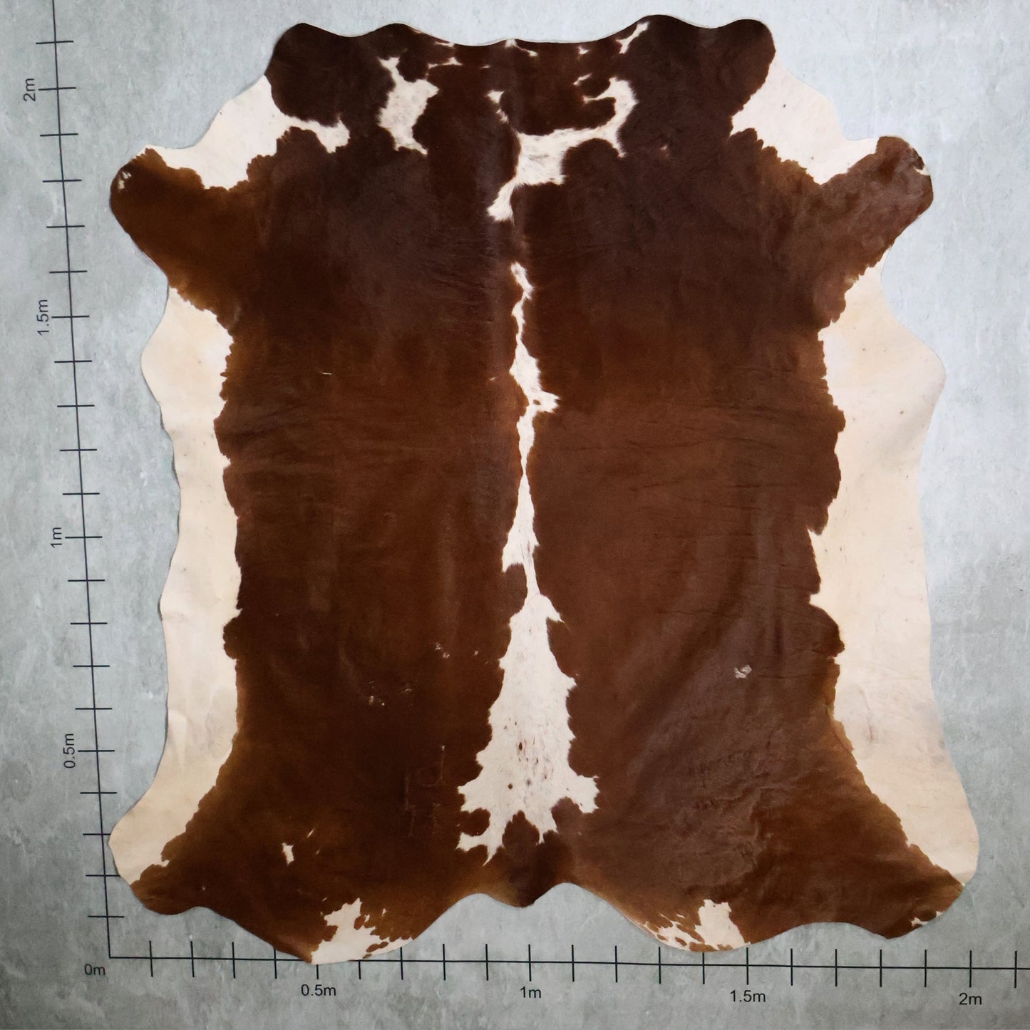 Select Nguni Hide #AGD7009 (2.0m X 2.1m)