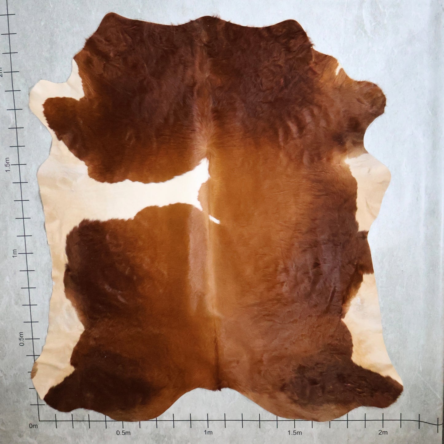Select Nguni Hide #AGD7013 (2.1m X 2.3m)