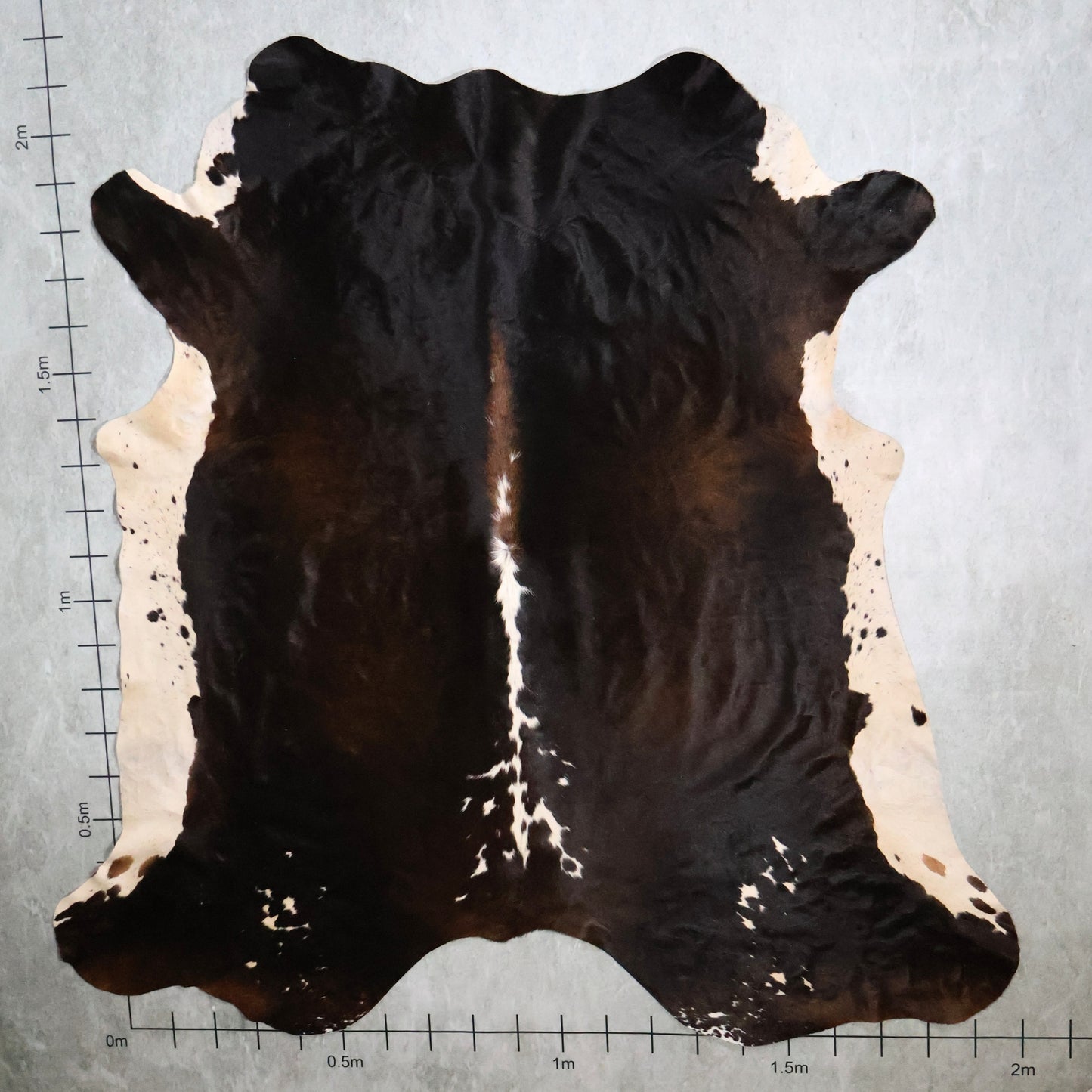 Select Nguni Hide #AGD7027 (2.0m X 2.1m)