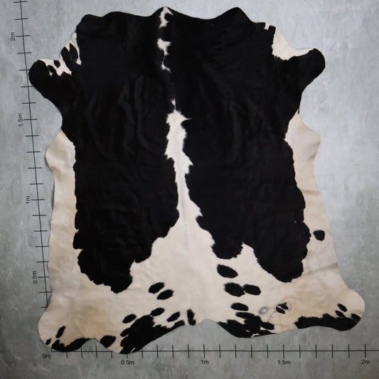 Select Nguni Hide #AGD7028 (2.0m X 2.1m)