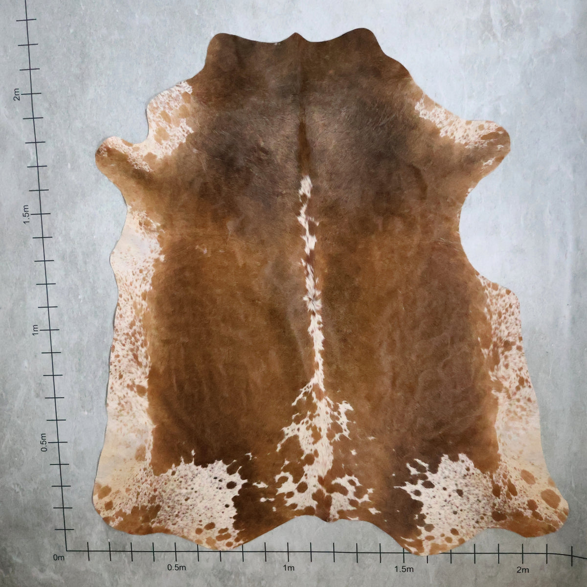 Select Nguni Hide - Caramel Brown & White | AGD7032 | 2.2m X 2.2m