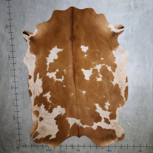 Select Nguni Hide - Caramel Brown & White | AGD7034 | 1.8m X 2.2m
