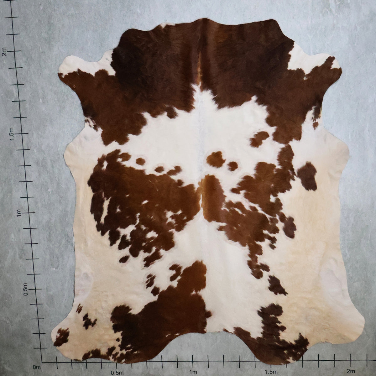 Select Nguni Hide - Chocolate Brown & White | AGD7036 | 2.1m X 2.1m