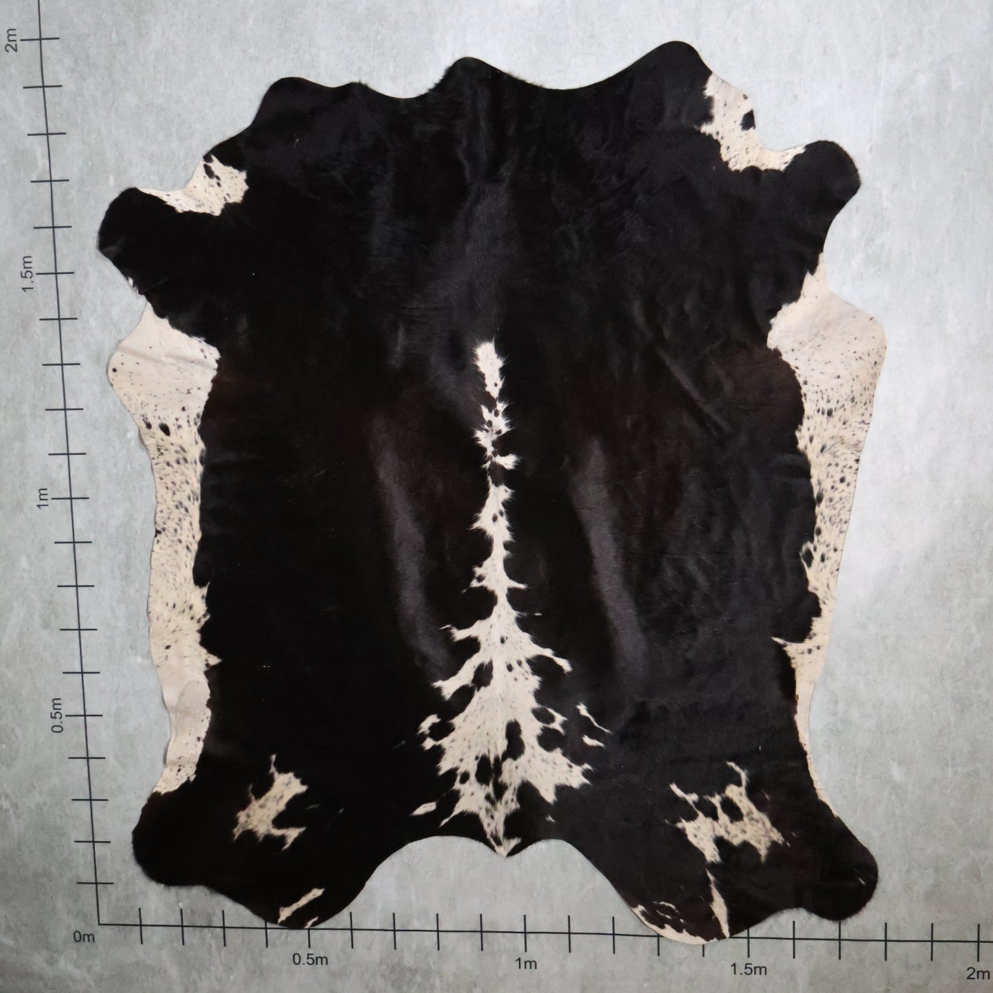 Select Nguni Hide - Black & White | AGD7037 | 1.8m X 1.9m