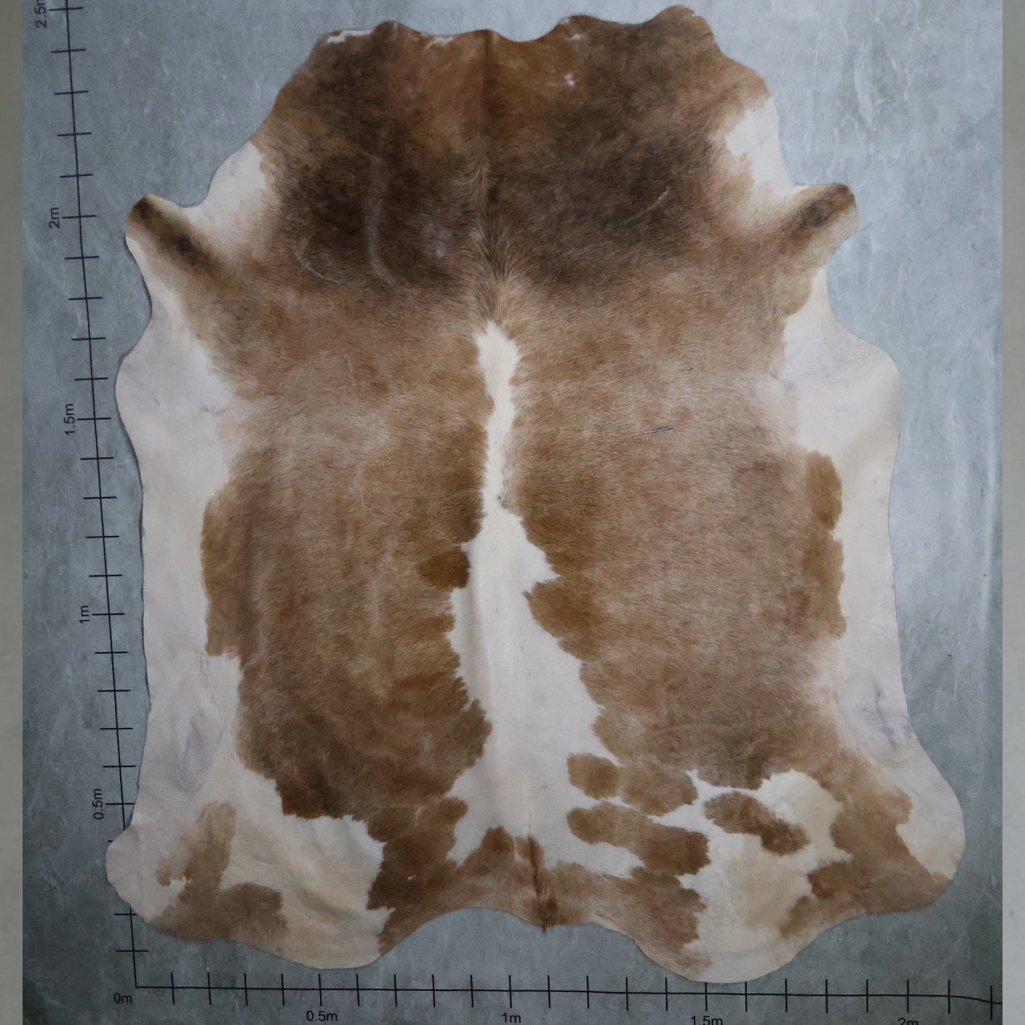 Select Nguni Hide - Soft Caramel, Taupe & White | AGD7051 | 2.1m X 2.4m