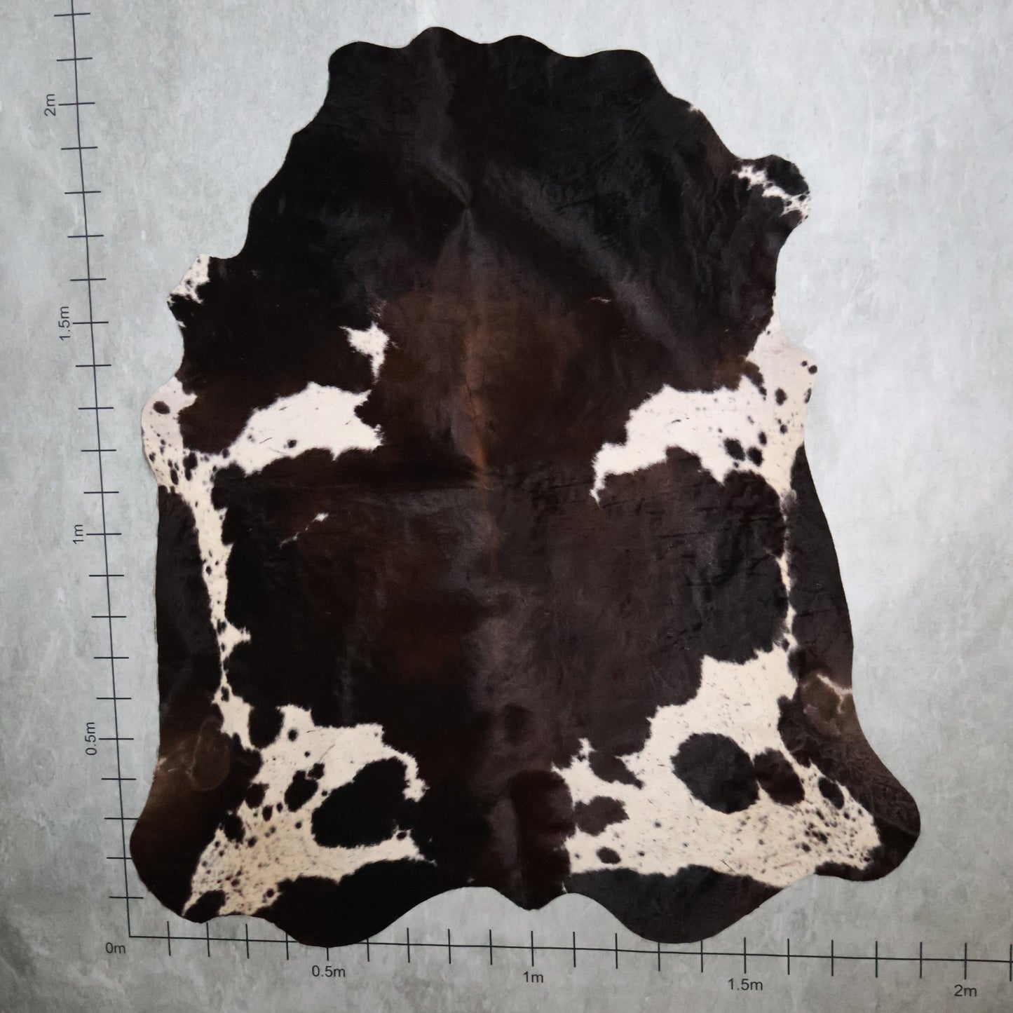 Select Nguni Hide - Dark Chestnut Brown & White | AGD7056 | 1.9m X 2.1m