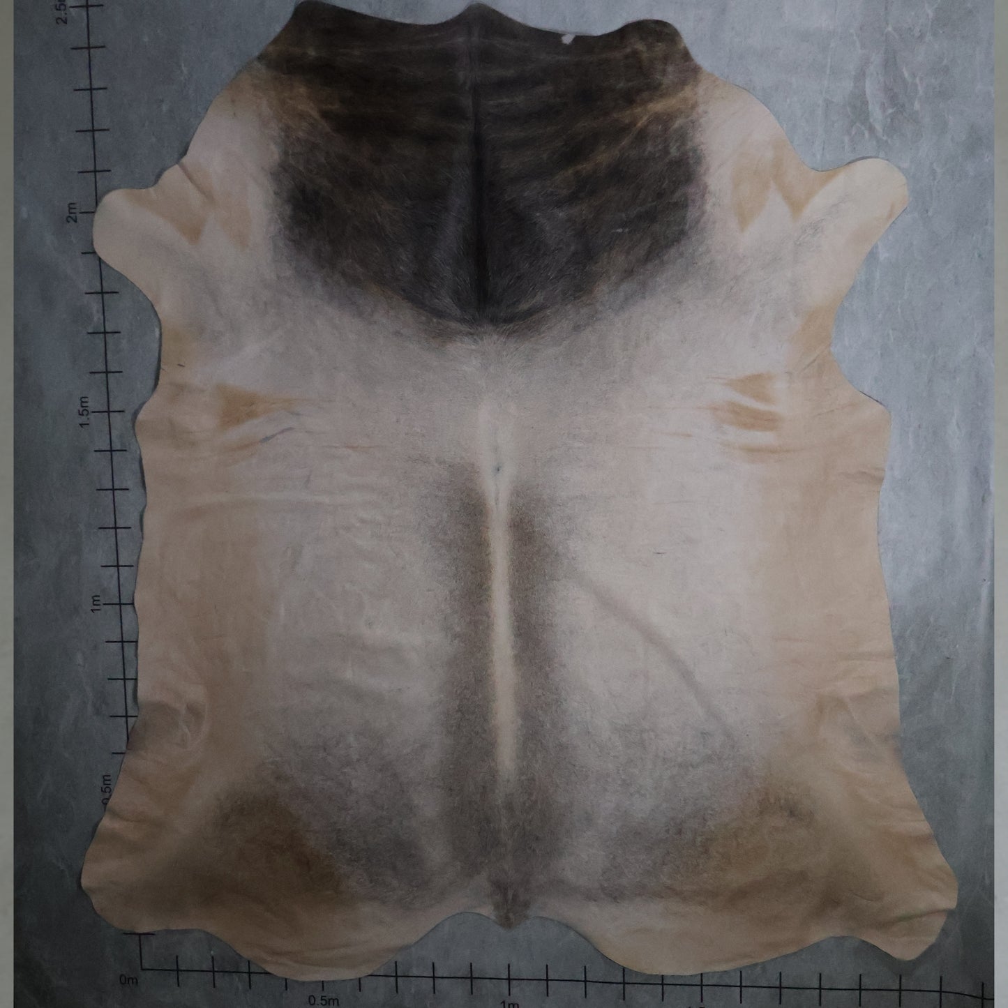 Select Nguni Hide - Grey & Beige/Cream | AGD7061 | 2.1m X 2.5m