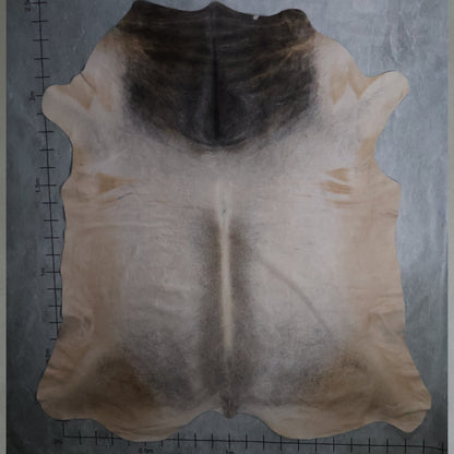 Select Nguni Hide - Grey & Beige/Cream | AGD7061 | 2.1m X 2.5m