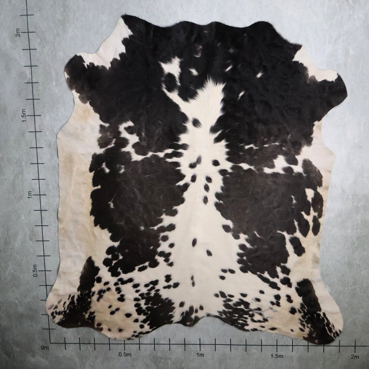 Select Nguni Hide - Black & White | AGD7066 | 1.9m X 2.1m