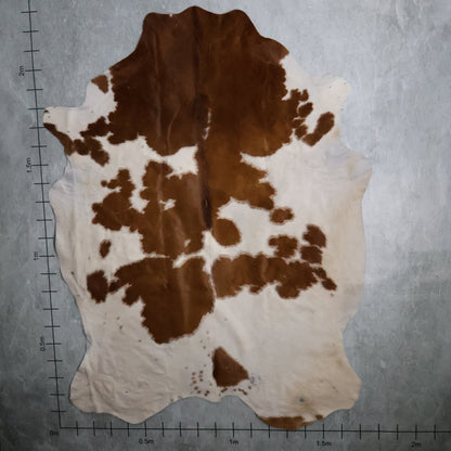 Select Nguni Hide - Brown & White | AGD7070 | 1.7m X 2.2m