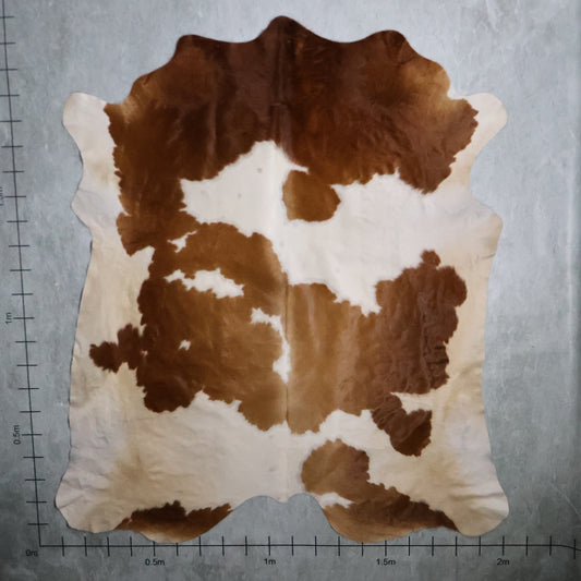 Select Nguni Hide - Brown & White | AGD7079 | 2.0m X 2.1m