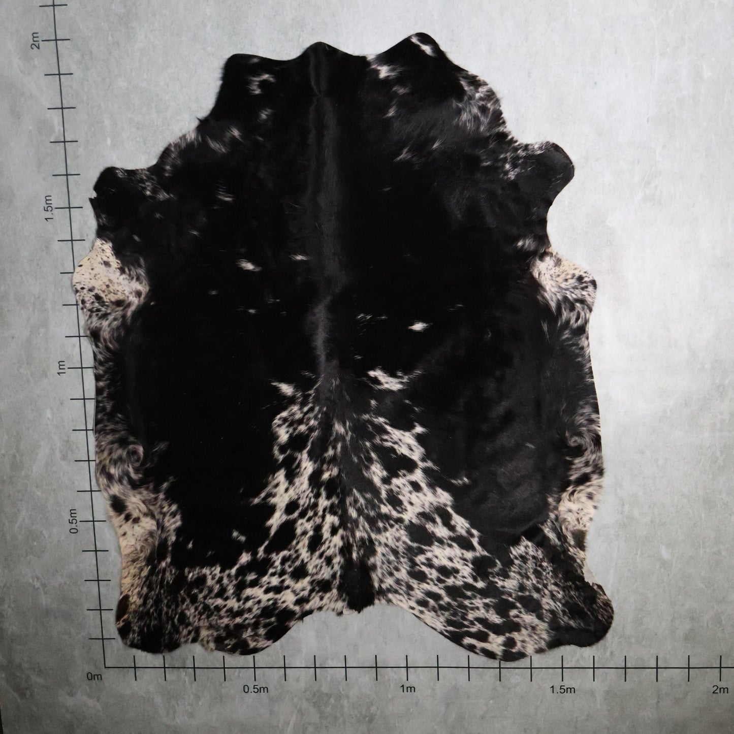 Select Nguni Hide - Black & White | AGD7080 | 1.6m X 2.0m