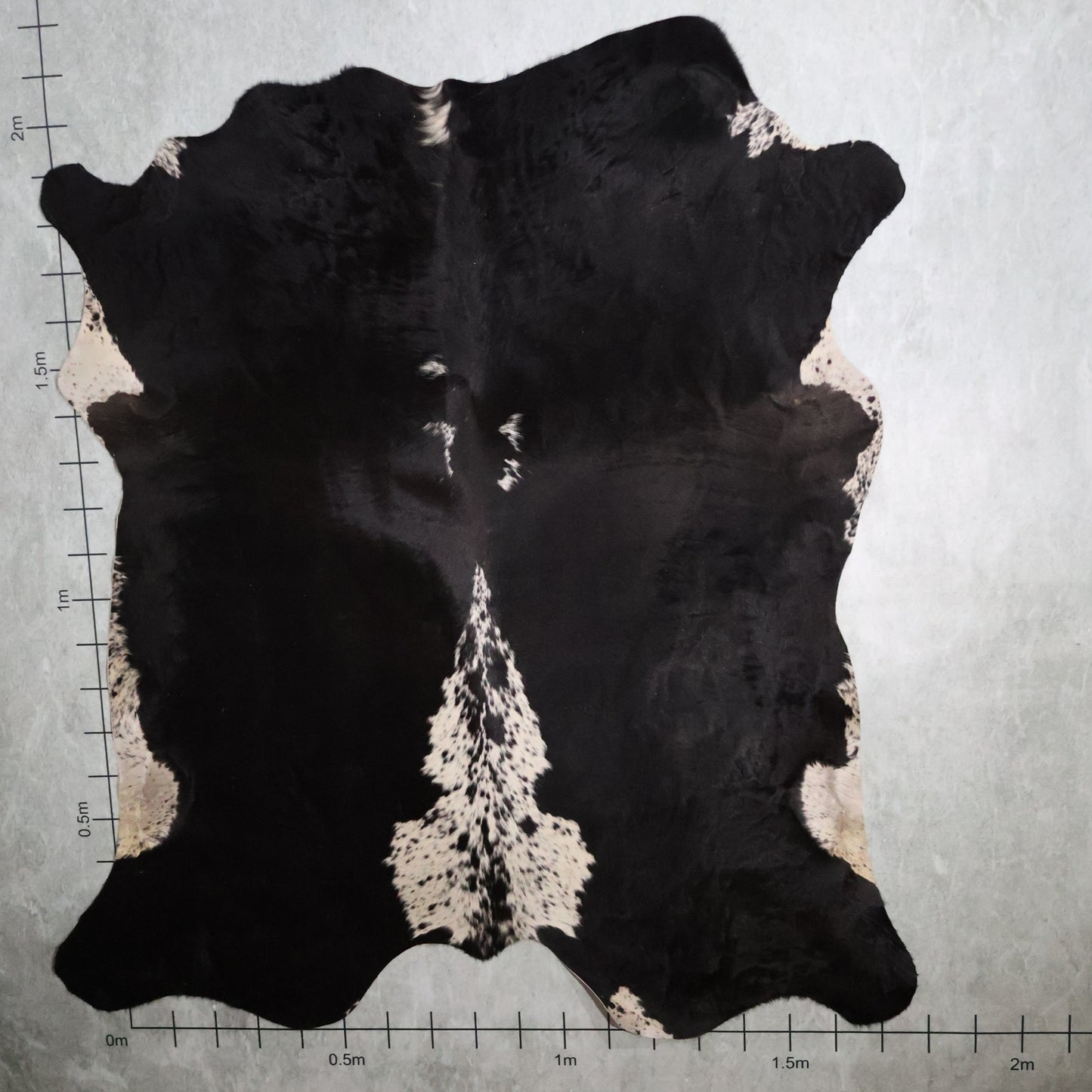 Select Nguni Hide - Black & White | AGD7085 | 1.8m X 2.1m