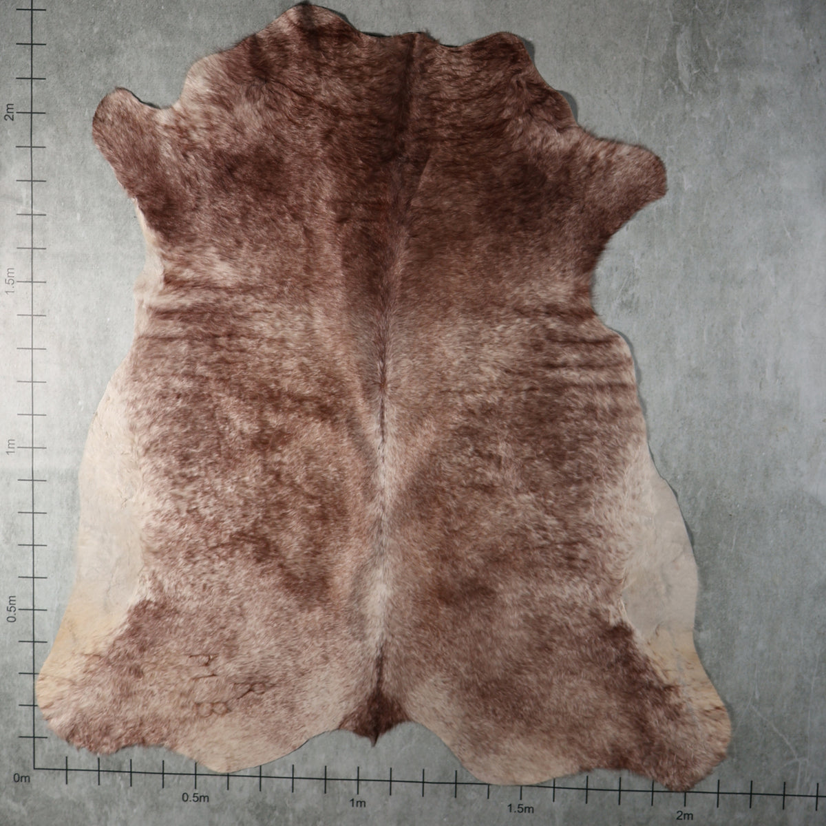 Select Nguni Hide - Red Brown & White | AGD7096 | 2.1m X 2.3m
