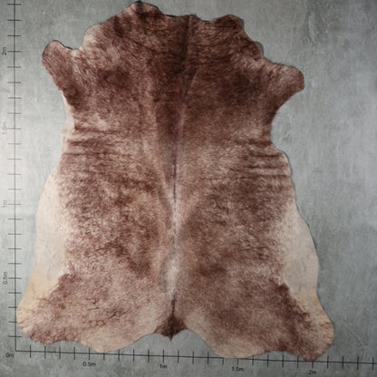 Select Nguni Hide - Red Brown & White | AGD7096 | 2.1m X 2.3m