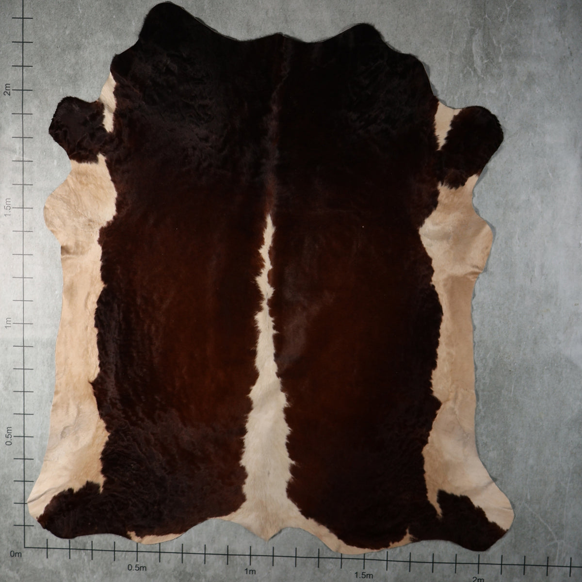 Select Nguni Hide - Dark Brown & White | AGD7097 | 2.1m X 2.3m