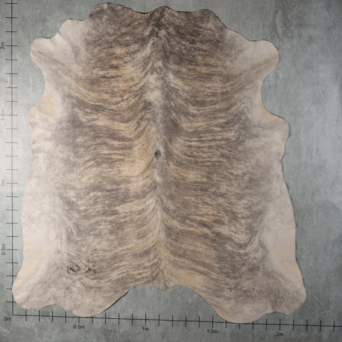 Select Nguni Hide - Grey & Cream Brindle | AGD7100 | 2.2m X 2.3m