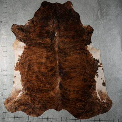 Select Nguni Hide - Chestnut Brindle & White | AGD7101 | 2.1m X 2.4m
