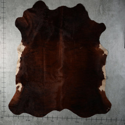 Select Nguni Hide - Chestnut Brindle & White | AGD7108 | 2.2m X 2.3m