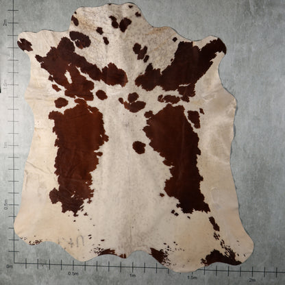 Select Nguni Hide - Chestnut Brown & White | AGD7109 | 2.0m X 2.1m