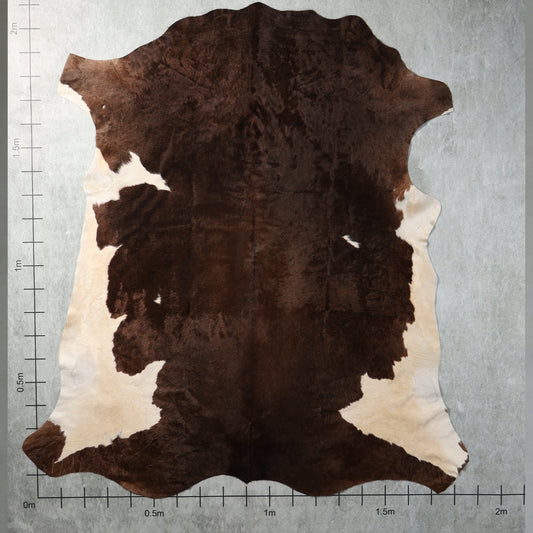 Select Nguni Hide - Chocolate Brown & White | AGD7120 | 1.9m X 2.1m