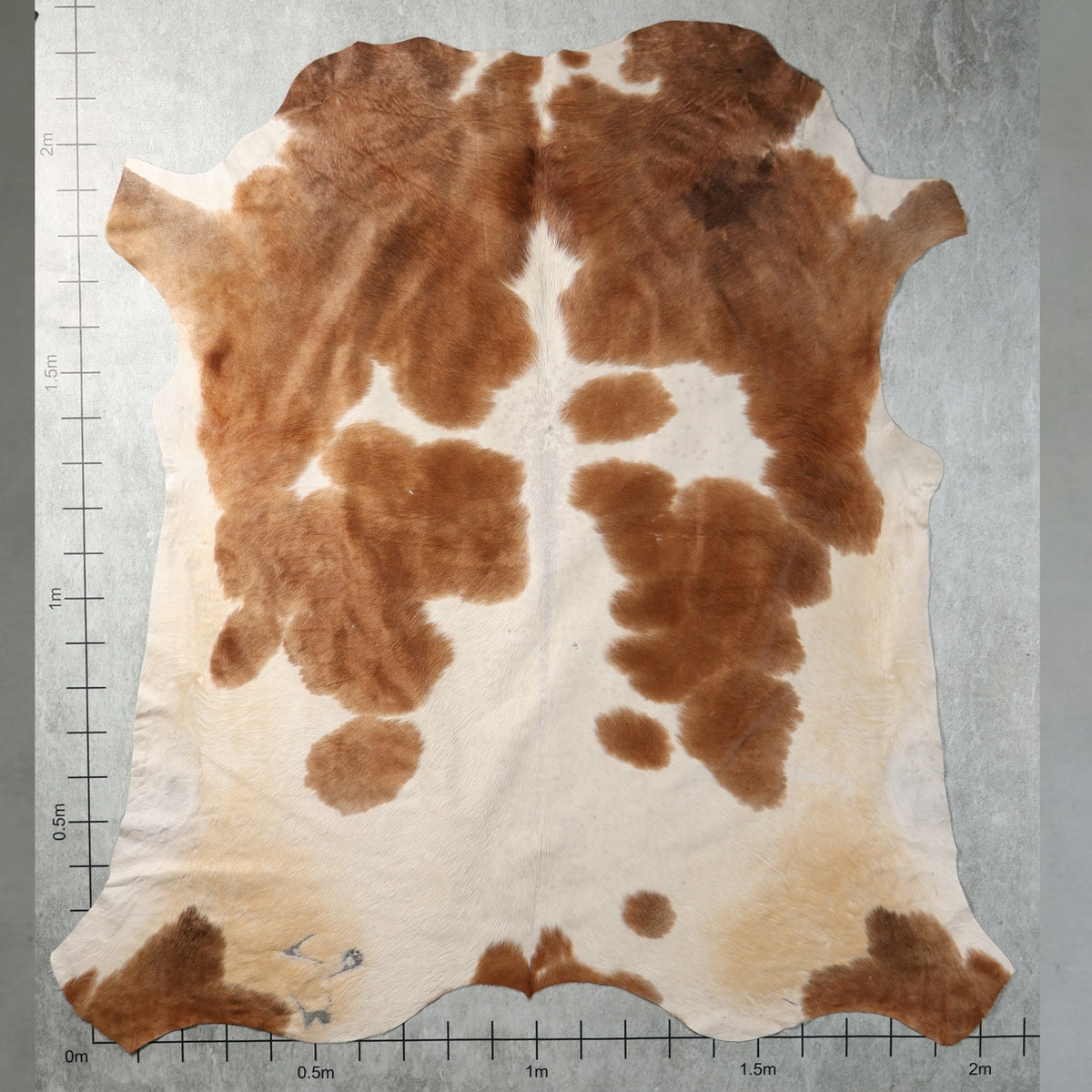 Select Nguni Hide - Caramel Brown & White | AGD7121 | 2.0m X 2.2m
