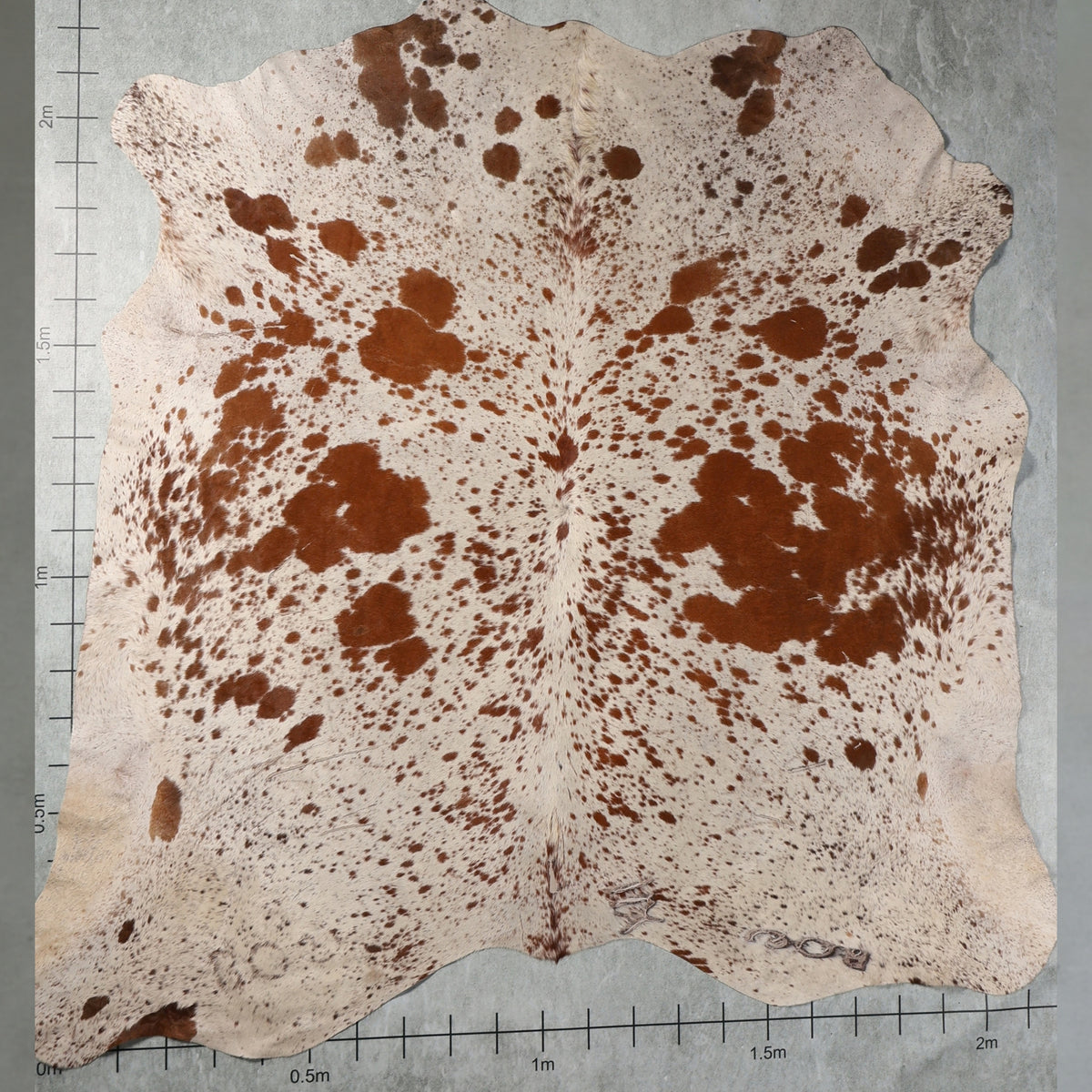 Select Nguni Hide - Chestnut Brown & White | AGD7127 | 2.2m X 2.2m