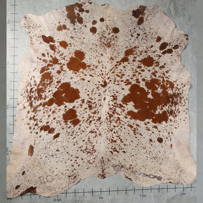 Select Nguni Hide - Chestnut Brown & White | AGD7127 | 2.2m X 2.2m