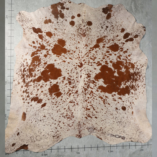 Select Nguni Hide - Chestnut Brown & White | AGD7127 | 2.2m X 2.2m