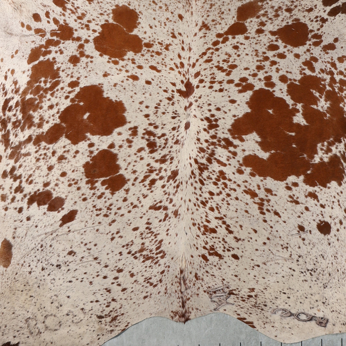Select Nguni Hide - Chestnut Brown & White | AGD7127 | 2.2m X 2.2m