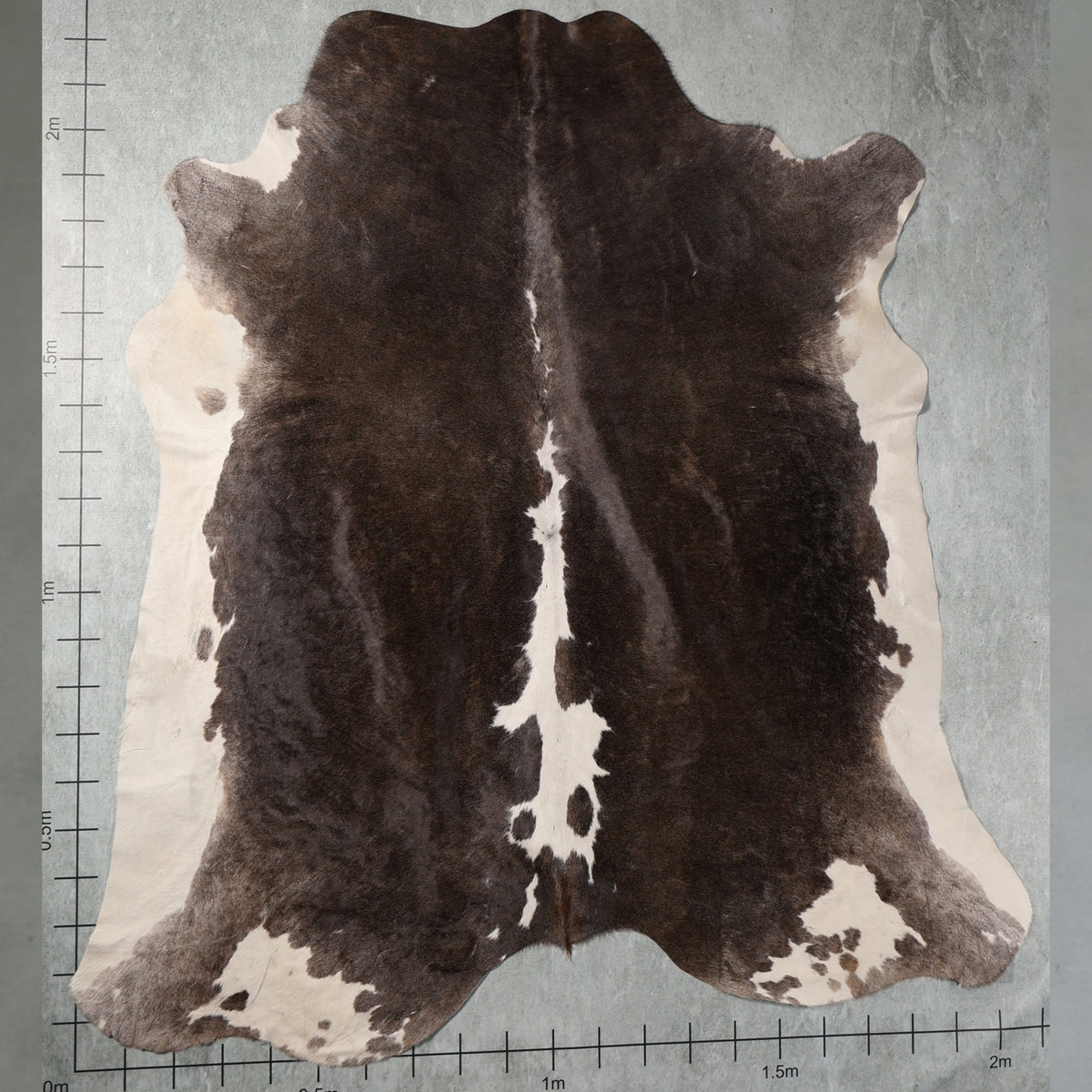 Select Nguni Hide - Dark Brown & White| AGD7133 | 2.1m X 2.2m