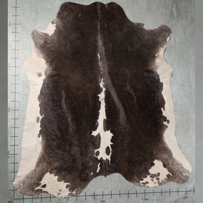 Select Nguni Hide - Dark Brown & White| AGD7133 | 2.1m X 2.2m