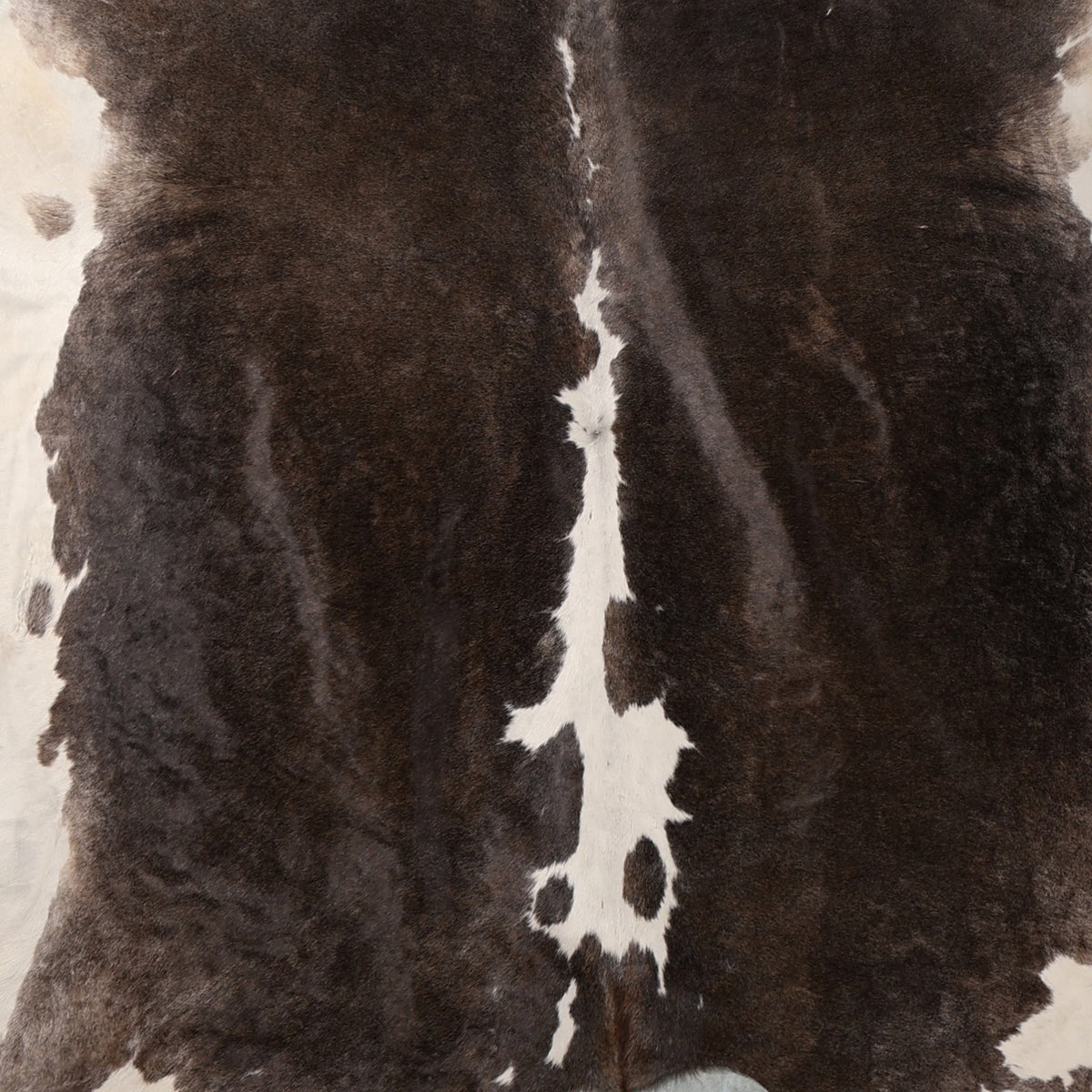 Select Nguni Hide - Dark Brown & White| AGD7133 | 2.1m X 2.2m