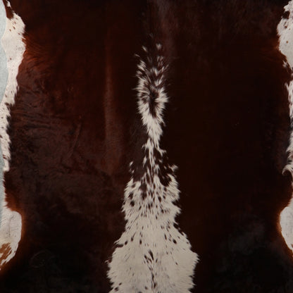 Select Nguni Hide - Dark Chocolate Brown & White | AGD7196 | 1.9m X 2.2m