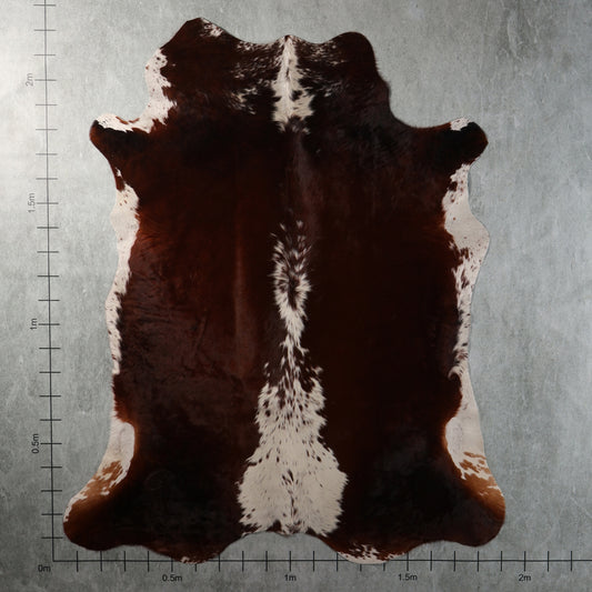 Select Nguni Hide - Dark Chocolate Brown & White | AGD7196 | 1.9m X 2.2m