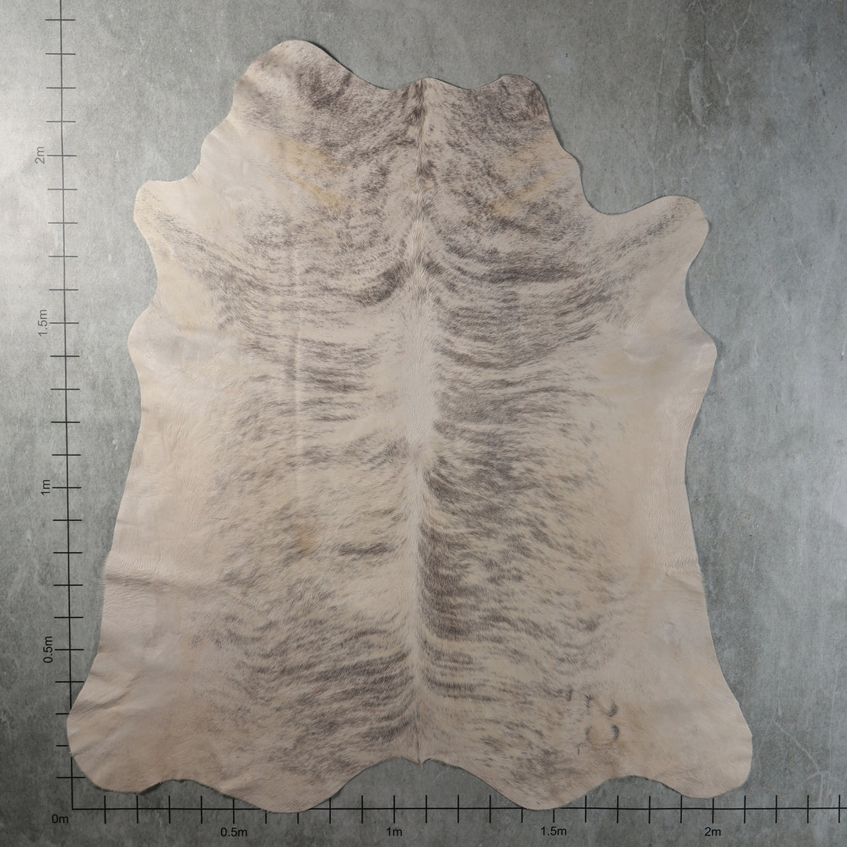 Select Nguni Hide - Cream & Grey Brindle | AGD7197 | 2.1m X 2.3m