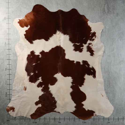 Select Nguni Cowhide - Chestnut Brown & White | AGD7202 | 2.1m X 2.2m