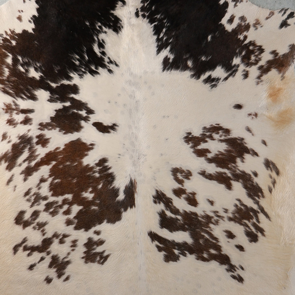 Select Nguni Cowhide - Dark Brown & White Speckled | AGD7207 | 2.0m X 2.2m