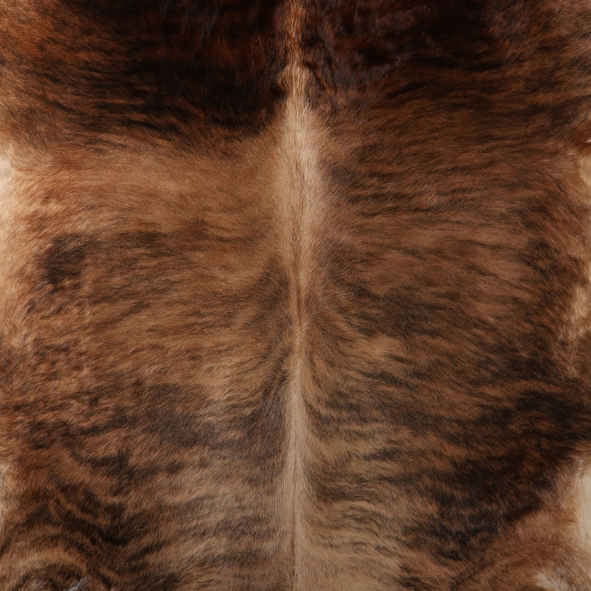 Select Nguni Cowhide - Light Brown Brindle | AGD7209 | 2.1m X 2.3m