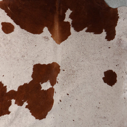 Select Nguni Cowhide - Cream & Chestnut Brown | AGD7211 | 2.0m X 2.0m