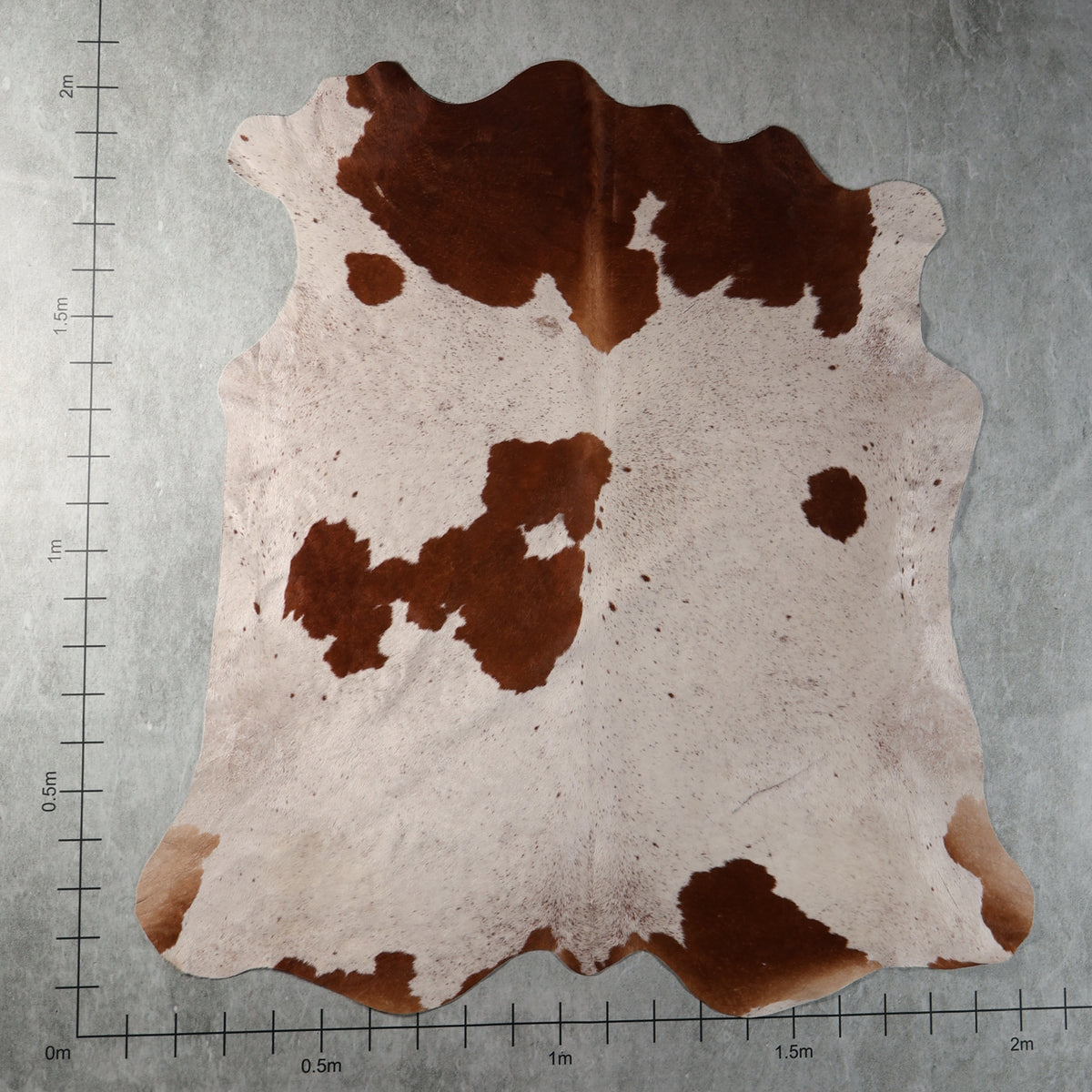 Select Nguni Cowhide - Cream & Chestnut Brown | AGD7211 | 2.0m X 2.0m