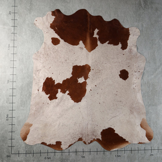 Select Nguni Cowhide - Cream & Chestnut Brown | AGD7211 | 2.0m X 2.0m