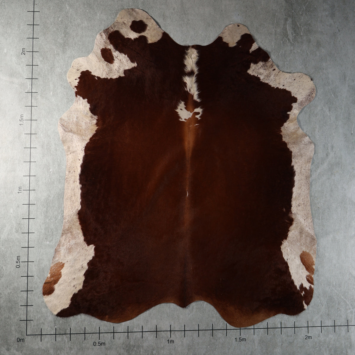 Select Nguni Cowhide - Dark Chocolate Brown & Cream | AGD7213 | 2.0m X 2.3m
