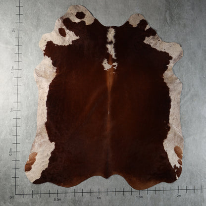 Select Nguni Cowhide - Dark Chocolate Brown & Cream | AGD7213 | 2.0m X 2.3m