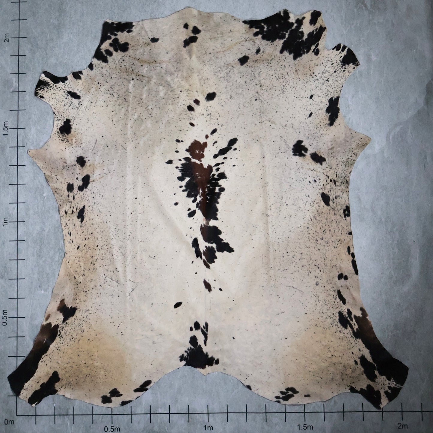 Select Nguni Hide #AGS6004