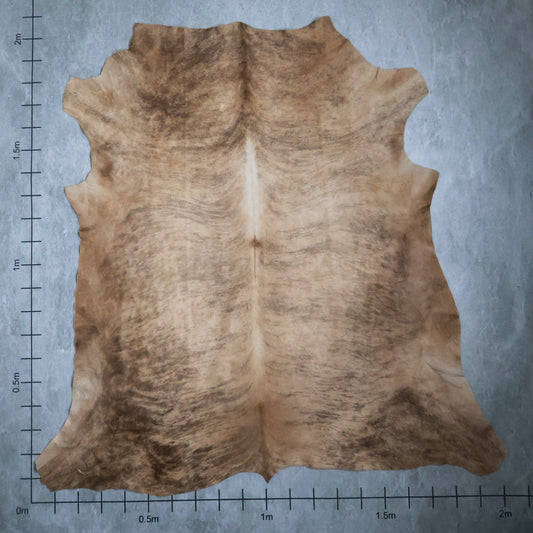Select Nguni Hide #AGS6094