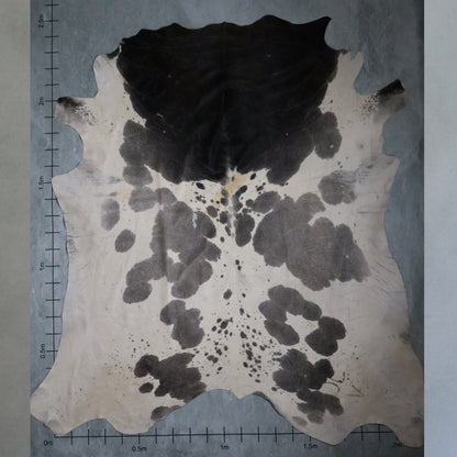 Select Nguni Hide #AGS6324
