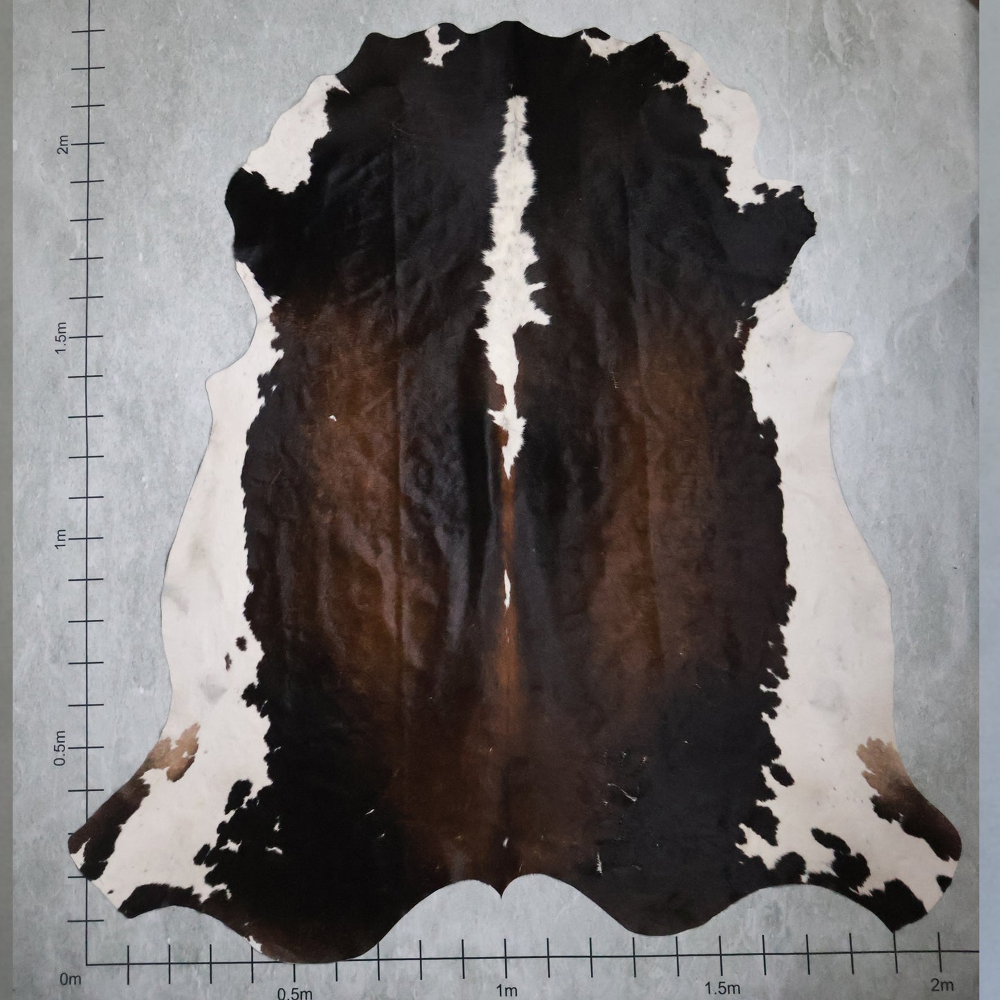 Select Nguni Hide #AGS6601