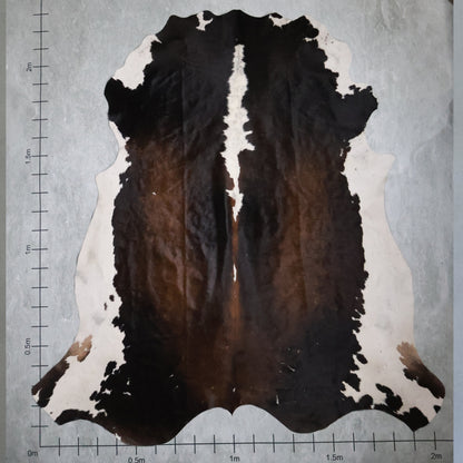 Select Nguni Hide #AGS6601