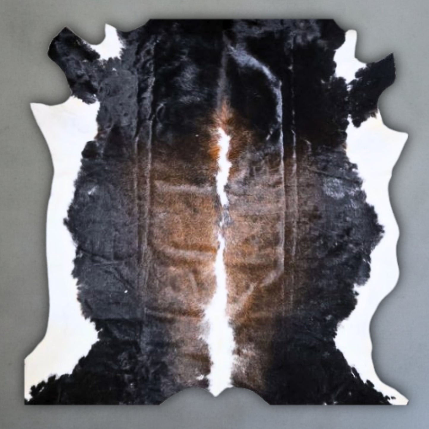 Select Nguni Hide #AGS6680